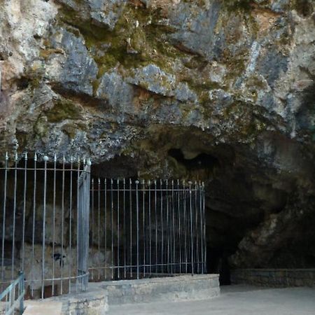 Agriturismo Al Gallo Verde Altavilla Silentina 外观 照片