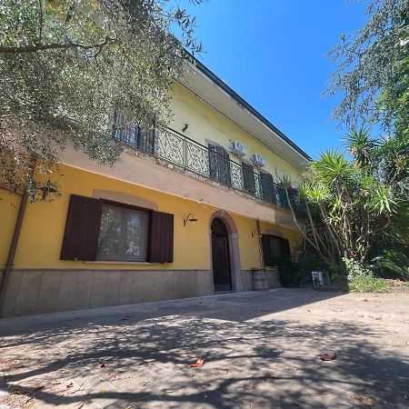 Agriturismo Al Gallo Verde Altavilla Silentina 外观 照片
