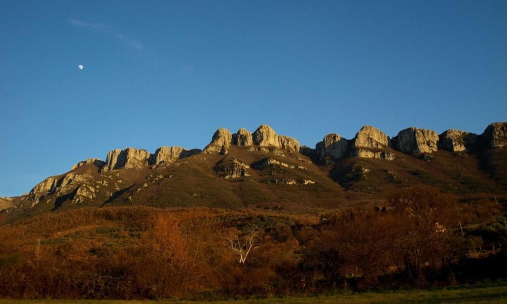 Agriturismo Al Gallo Verde Altavilla Silentina 外观 照片