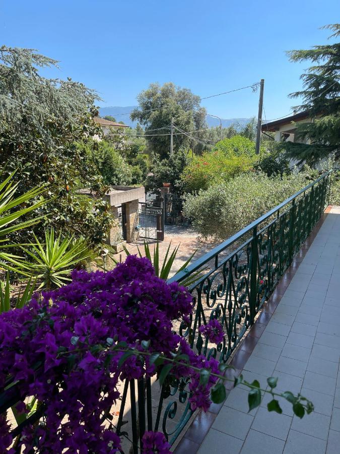 Agriturismo Al Gallo Verde Altavilla Silentina 外观 照片