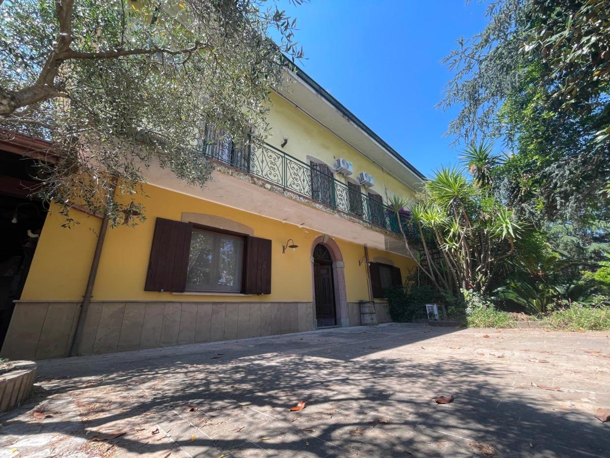Agriturismo Al Gallo Verde Altavilla Silentina 外观 照片