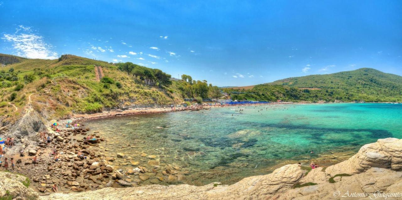 Agriturismo Al Gallo Verde Altavilla Silentina 外观 照片